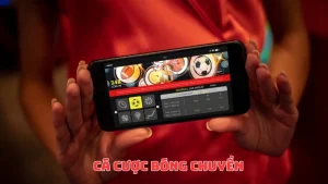 Cá cược bóng chuyền