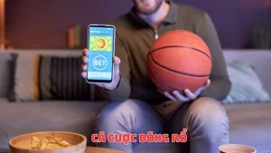Cá cược bóng rổ