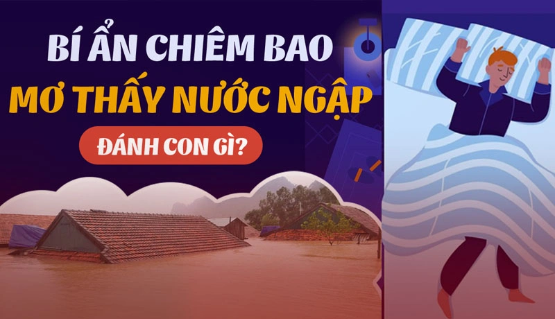 Giải mã tình huống mơ thấy mưa lũ Giải mã tình huống mơ thấy mưa lũ