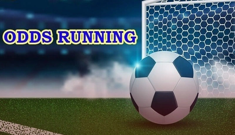 Phương pháp đọc odds là gì?