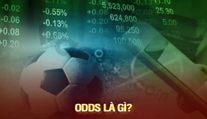Odds là gì
