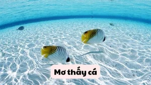 con cá số mấy